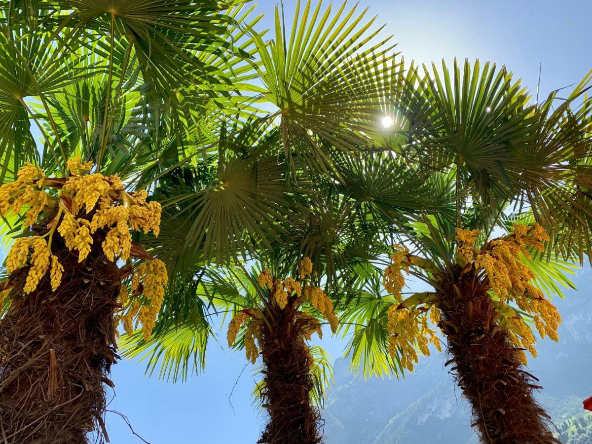 Albola Suite Holiday Apartments Riva del Garda Luaran gambar